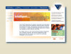 Visual Communications Inc.